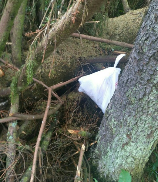 IMG_20200705_202819.jpg (388.5 КБ) 12382 просмотра IMG_20200705_202819.jpg