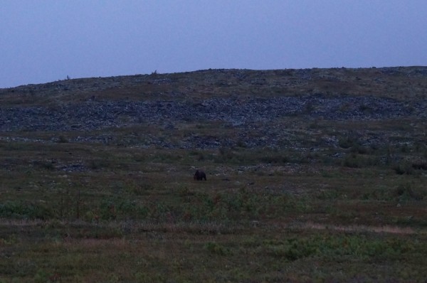 DSC09995 — копия.JPG (612.23 КБ) 11627 просмотров DSC09995 — копия.JPG