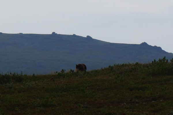 DSC00061 — копия.JPG (173.65 КБ) 11627 просмотров DSC00061 — копия.JPG
